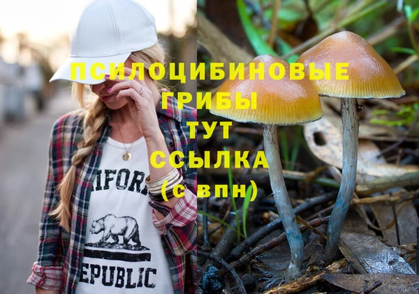 дмт Заволжск