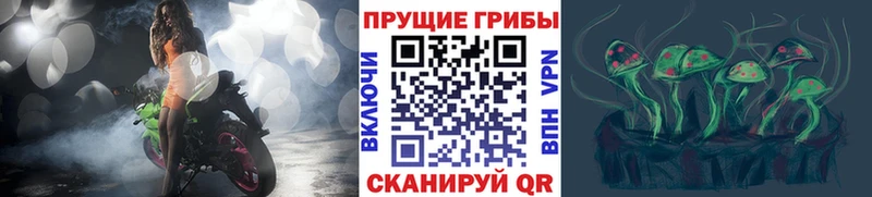 Псилоцибиновые грибы MAGIC MUSHROOMS Купить Краснознаменск
